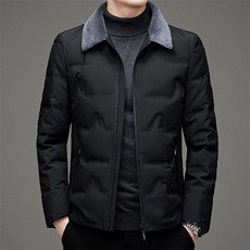 DZ1F17钱塘2020-3冬季厚款商务休闲翻领中年男士羽绒服P195，男装羽绒服，钱塘207-3