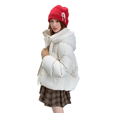 冬装新款冬装新标90白鸭绒面包服浙宝B2楼239-P290-控390，女装羽绒服，姿衣轩