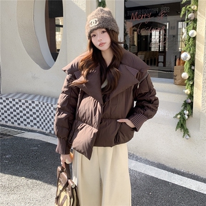 衣秀之家2319款短款大翻领加厚时尚羽绒服冬季保暖外套女图片