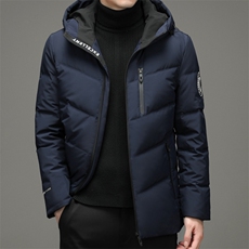 2023新款冬装羽绒服中青年男休闲保暖防寒翻领外套ZSab21005-P265，男装羽绒服，电商B212（原钱塘6029）