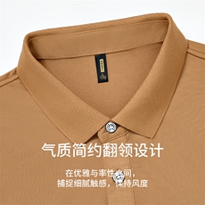 夏季保罗POLO衫男士冰丝短袖T恤休闲翻领宽松半袖中年男装体恤衫，男装Polo衫，电商B212（原钱塘6029）