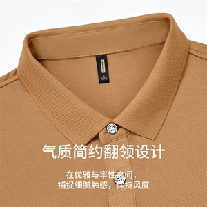 夏季保罗POLO衫男士冰丝短袖T恤休闲翻领宽松半袖中年男装体恤衫图片