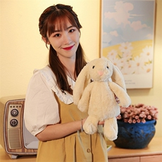 小春网供 兔子