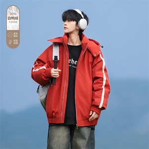Y8876-P248  L-9XL新标90绒冬季新款大码连帽羽绒服图片