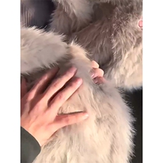 现货重磅硬挺boxy羽绒棉衣座山雕大毛毛领洗水麂皮棉服冬外套，男装棉衣，电商A486-1