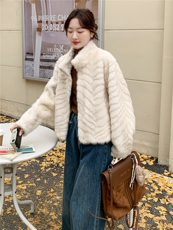 210-7703-P185-K258仿水貂高端皮毛一体女士，女装羊羔毛/颗粒绒，浙宝210（原浙宝191）