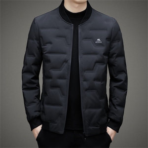 2023年新款羽绒服P220图片