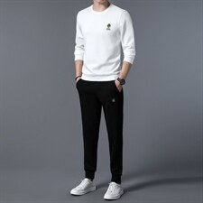 S3050-2钱塘2020-2春秋新款百搭时尚休闲帅气中青年男士套装P132，男装休闲套装，钱塘207-2