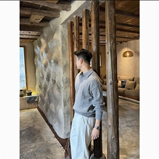 老钱风毛衣polo领针织套头打底衫D1201-P85，男装T恤，星座1012-1