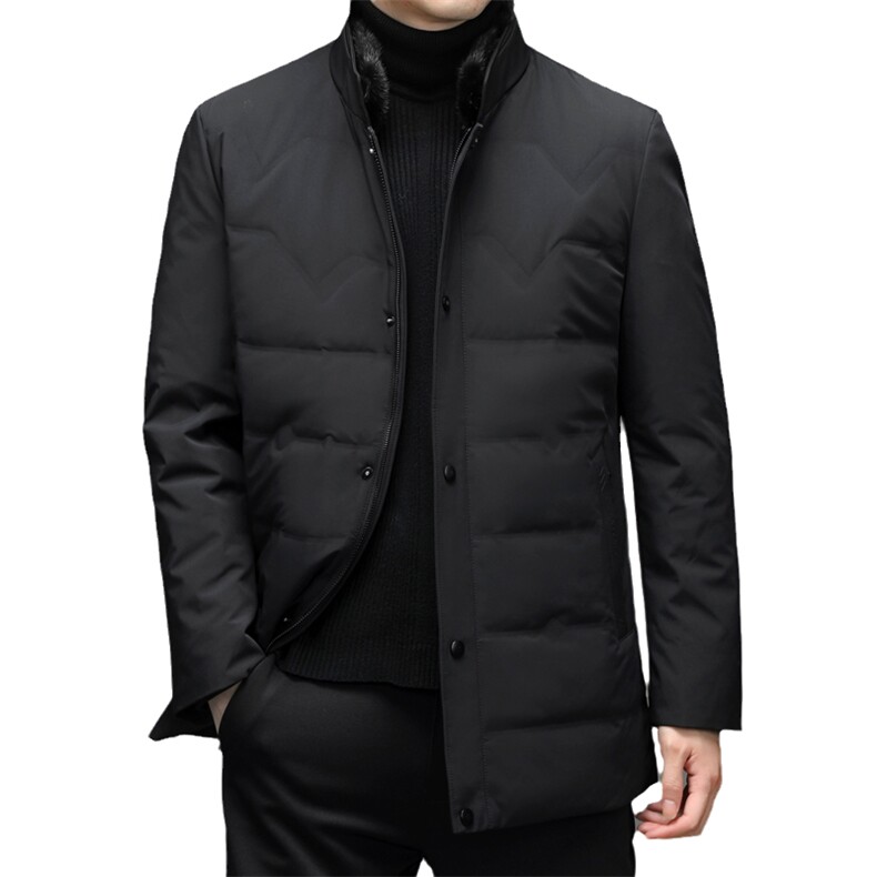 羽绒服外套男立领商务休闲中年男装冬季中老年爸爸装HL2166-P390,男装羽绒服,电商B212（原钱塘6029）
