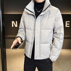 标50绒立领男士羽绒服冬季2025新款加厚冬装外套B255-2537-P225图片