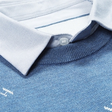 2023年冬季男士新款长袖中年休闲翻领寸衫爸爸装ZSYQ808-P120，男装针织衫/毛衣，电商B212（原钱塘6029）