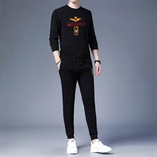 印花套装男春秋季宽松加绒长袖圆领卫衣高端中年男士休闲两件套，男装休闲套装，电商B212（原钱塘6029）