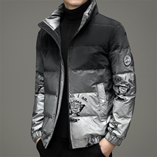 BF2950钱塘2020-2中青年男士时尚休闲帅气冬季厚款羽绒服P190，男装羽绒服，钱塘207-2