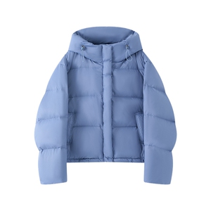 现货新款2173-P245-K319小个子羽绒面包服图片
