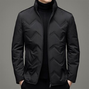 中年男士休闲立领羽绒服保暖防寒羽绒外套爸爸装上衣YYYR16-P255，男装羽绒服，电商B212（原钱塘6029）