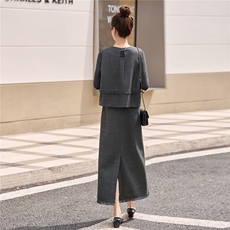 2025春秋季新款时尚套装女灰色长袖上衣显瘦洋气半身裙两件套，女装套装/套裙，丽影随形