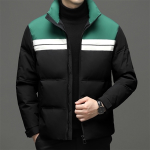 BWDF-13钱塘2020-2中年男士冬季厚款时尚休闲简约羽绒服P230图片