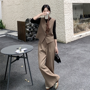 新品2C273-9016-P160-K248  咖色 马甲阔腿裤两件套图片