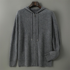 2025年秋季长袖套头连帽时尚百搭通勤，男装羊毛衫，千国羊绒
