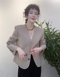 春款新款V领韩版小外套图片