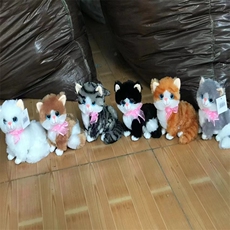 璟旭毛绒玩具 坐款小猫