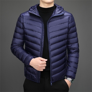 达标50绒 轻薄羽绒服外套男连帽秋冬中青年男士休闲百搭YR910-P75图片