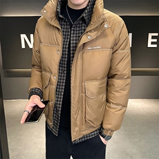 标50立领假两件冬季痞帅时尚高级感白鸭绒羽绒服YR8096-P200，男装羽绒服，电商A413