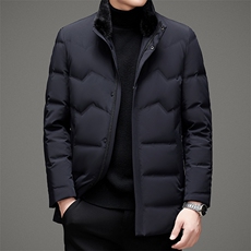 2023冬季新款立领羽绒服中年男士白鸭绒90%羽绒外套MSNA2125-P390，男装羽绒服，电商B212（原钱塘6029）