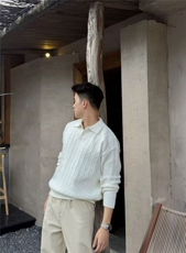 网图慎用毛衣D1201P852025秋冬男士海鸥领毛衣麻花针织衫，男装针织衫/毛衣，电商B216（原B302）