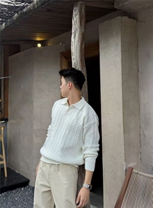 网图慎用 毛衣 D1201 P85 2025秋冬男士海鸥领毛衣麻花针织衫图片