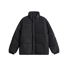 2025冬款纯色立领棉服--5215，男装棉衣，电商S012（CATTEE）