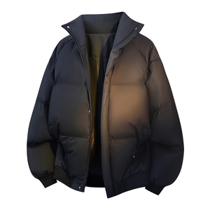立体新款冬季羽绒立领PU皮棉服棉袄韩版宽松外套A436-2522-P80图片
