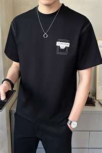 夏季短袖T恤男店主风2025新款高级刺绣纯色半袖体恤B317/8072/P55图片