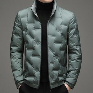 BZL2198钱塘2020-2秋冬中年男士立领休闲羽绒服外套量大价优P190图片