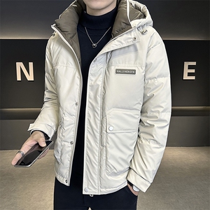 DS-A225-2025冬季新款羽绒服男士短款连帽加厚工装羽绒外套图片