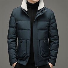 羽绒服男脱卸毛领冬季中年男休闲翻领休闲冬装外套ZL021333-P220，男装羽绒服，电商B212（原钱塘6029）