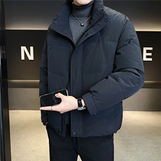 标50绒立领男士羽绒服冬季2025新款纯色外套A313-3305-P205，男装羽绒服，电商A313