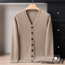 2025年秋季青春流行加厚基础开衫V领，男装针织衫/毛衣，戎禾素