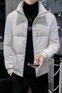 312A-001-P175控268  2025冬季新款蝴蝶图案羽绒服男80%白鸭绒A图片