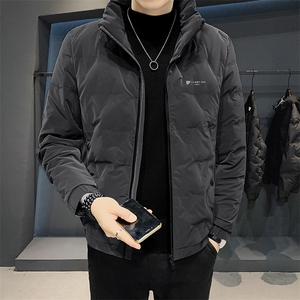 1903B 2130 P160 冬季男士中青年轻薄立领羽绒服外套保暖防寒外衣图片