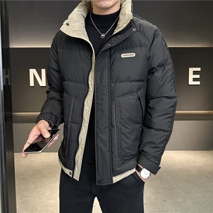 冬季新款防寒加厚白鸭绒立领黑金羽绒服时尚外套上衣男YR113P165,男装羽绒服,电商B226-2（原B217-2）