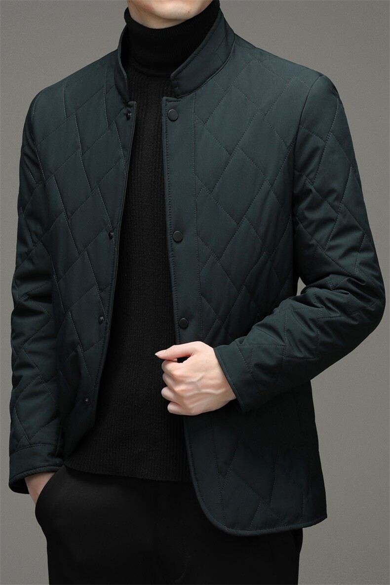 新款棉衣外套男冬季新款中年男士爸爸装商务休闲棉服上衣,男装棉衣,电商B212（原钱塘6029）