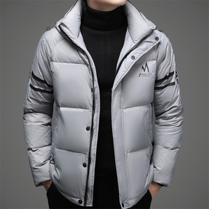 LD609钱塘2020-2中青年男士时尚休闲连帽功能性羽绒服外套P240图片
