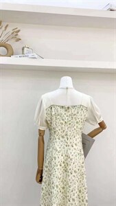 连衣裙图片
