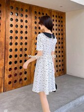 系列款，其它，梦由