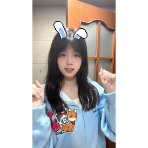 WE1742-P55 美式刺绣小猫魔术贴连帽开衫卫衣图片