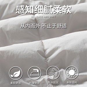 高品质轻薄羽绒服保暖情侣冬90白鸭绒学生Tide2025 SYR2603-P208图片