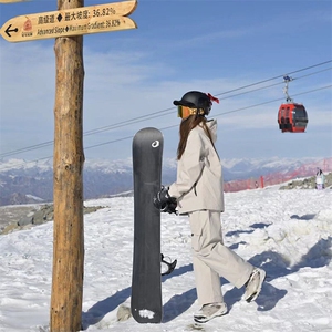 冬季潮牌防风防水单板男女同款户外运动加厚滑雪服套装TZ033-P220图片