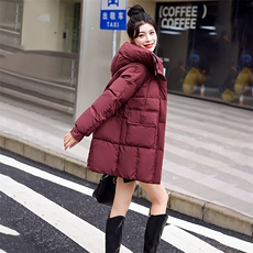 2024冬季新款女装中长款羽绒服时尚保暖显瘦外套，女装羽绒服，艾尚靓装